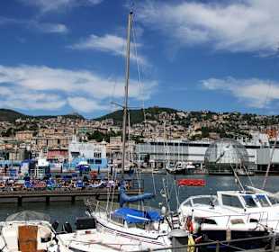 Sonnenbad im Hafen Genuas