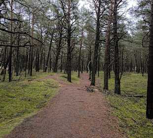 Wandern Dzwirzyno