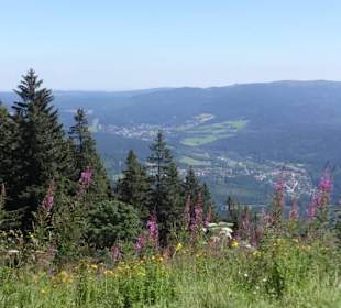 Wanderung auf großen Arber
