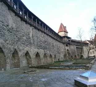 Сад Датского короля, декабрь