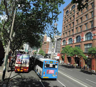 Mit dem Hop-on hop-off Bus in Sydney unterwegs