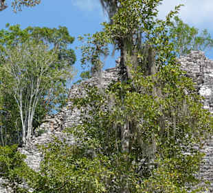 Pyramide verdeckt von Bäumen