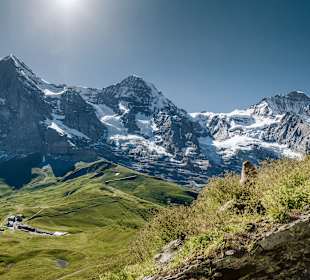 Wandern Wengen