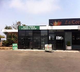 Aloe Vera Infocenter Arucas