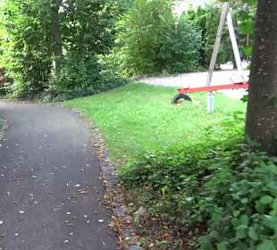 Spielplatz Hofäcker Zainingen