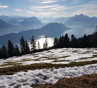 Wandern Rigi Kaltbad