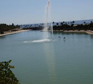 Kathedrale der Heiligen Maria 'La Seu' 