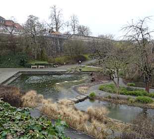 Stadtrundgang Würzburg