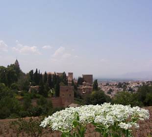 Blick zu Alhambra