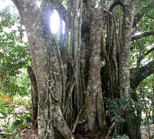 Jeep-Safari im Nationalpark