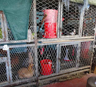 Rundgang über den Petit Marché von Saint-Denis