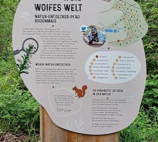 Woid Woifes Welt – Natur-Entdecker-Pfad Bodenmais