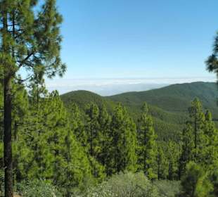 Erstaunlich grün, Passatwolken schaffen das