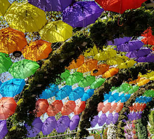 Miracle Garden Entspannung unter Regenschirmen