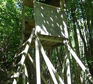 Premiumwanderweg "hochgelegen"