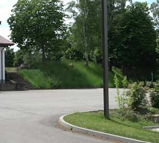 Tonauhalle Vöhringen