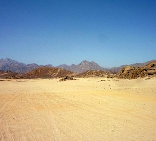 Ausflug in die Wüste