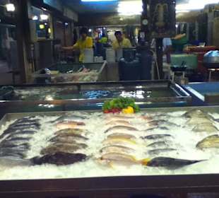 Frischfisch vom Feinsten