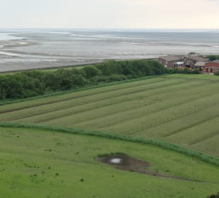 Ausblick vom Neuwerker Leuchtturm