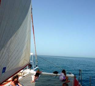 Hinaus aufs Rote Meer