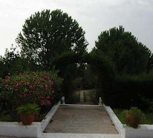 Wunderschöne Gartenanlage