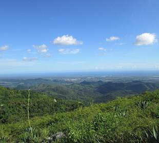 Der Weg zum Dschungel