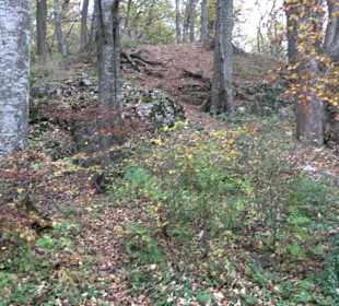 Wandern um die Rauber Ruine