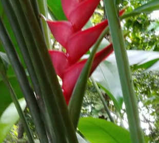 St. Lucia Best Experience Tours