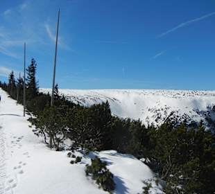 Schneekope/Śnieżka