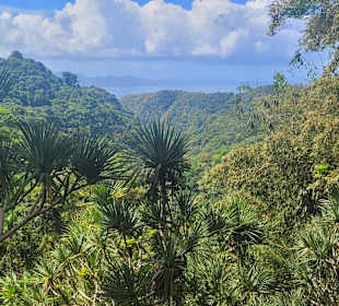 Ausblick von der Hängebrücke