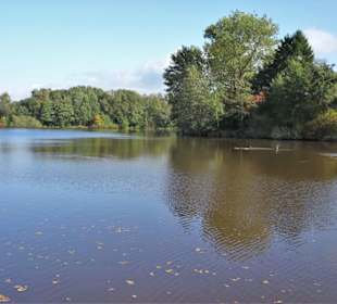 Impressionen vom Spaziergang am Drielaker See