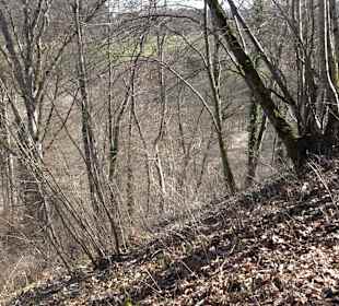 Klosterfelsenweg