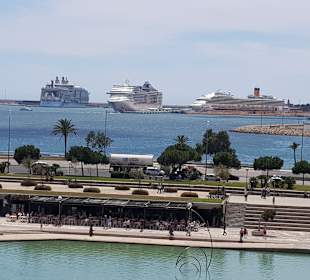 Hafen Palma de Mallorca