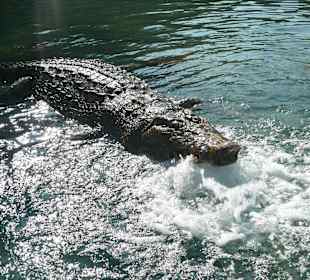 Das schaut aber echt aus