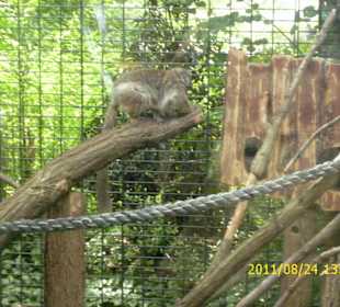 Besuch im Berliner Zoo