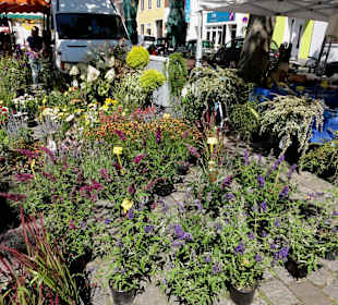 Rundgang über den Wochenmarkt Findorff