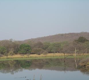 Ranthambore N.P.