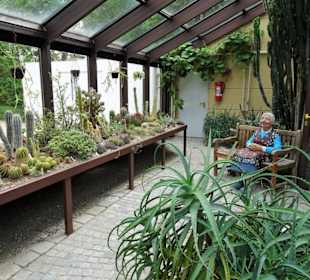 Rundgang durch das Palmenhaus des Rosengartens