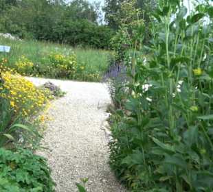 ALB-GOLD Naturgarten