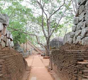 Sigiriya