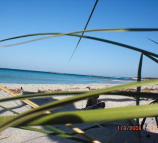 Strandkunst