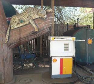 Witzige Shell-Tankstelle im Marloth-Park