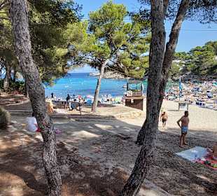 Strand Sa Font de Sa Cala