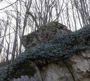 Schillerhöhle