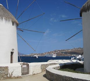 Im Hafen von Mykonos