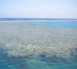 Das war das Anfänger Riff!