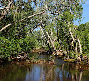Kakadu NP