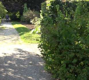 Botanischer Garten München