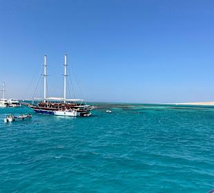 Schnorcheln Makadi Bay