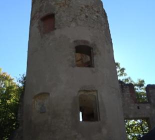 Ruine Hornstein